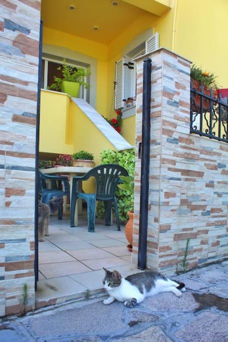 Emmas House In Pythagoreio Apartment Samos Town Exterior photo